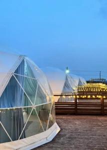 Аквариум - 154