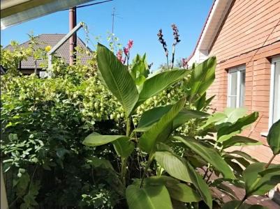 Семейный гостевой дом - 19