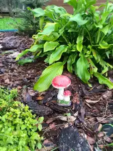 Домик у озера - 23