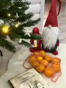 Коттедж на берегу реки - 4