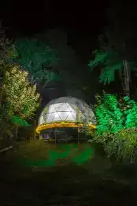 Дубрава - 0