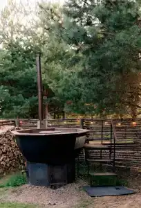 Хвоя - 1