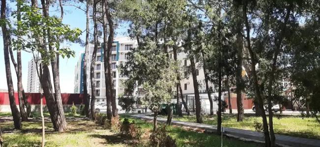 Колорит Апарт - 490