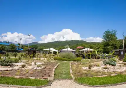 Вотчина - 169