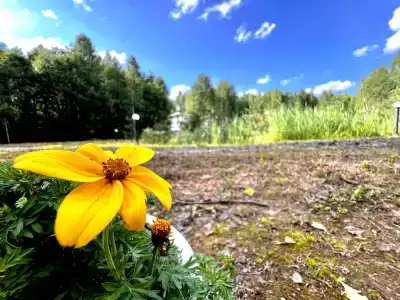 Уютный загородный коттедж в Андросово - 19