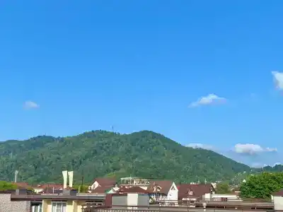 Таунхаус в Тюльпановке - 10