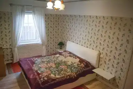 Боровики - 50