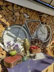 Лисапедово - 124