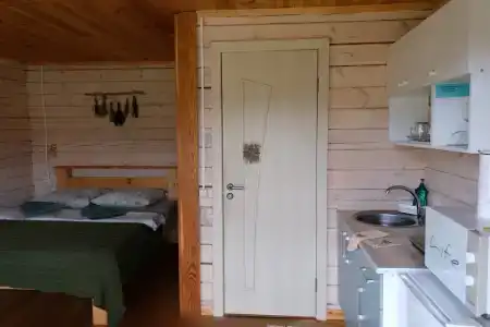 Можжевельник - 12