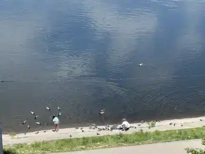 Квартиры на Шурова Гора 7/13 - 46