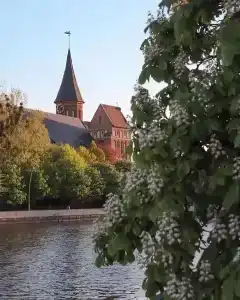 в тени Каштанов - 16