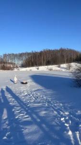 Уютный новый дом с сауной включена в стоимость и видом на озеро и лес - 56