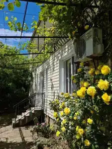 Апельсин - 5