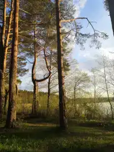 Дом на Селигере - 39