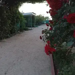 Уютный отдых - 9