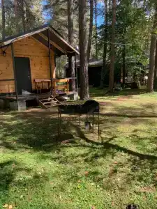 12 месяцев - 69