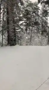 12 месяцев - 67