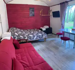 12 месяцев - 48