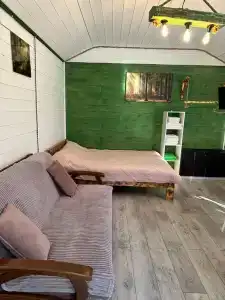 12 месяцев - 51