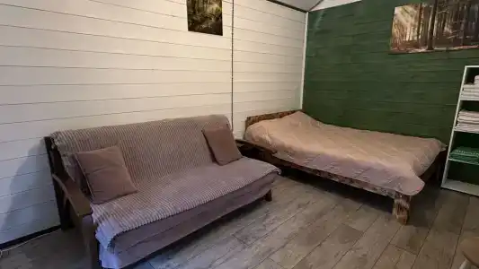 12 месяцев - 50