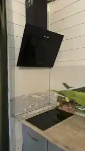 12 месяцев - 65