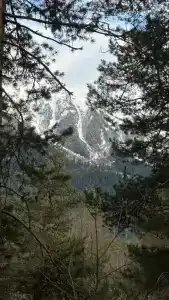 12 месяцев - 70