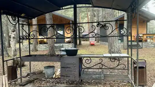 12 месяцев - 71