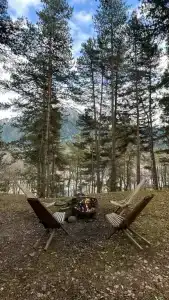 12 месяцев - 72