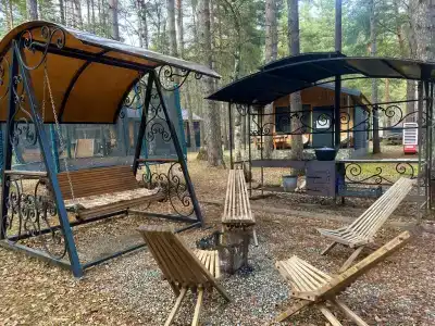 12 месяцев - 74