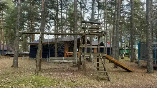 12 месяцев - 75