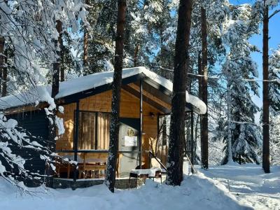 12 месяцев - 46