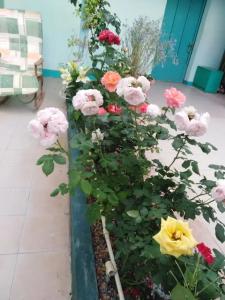 В Долине Роз - 26