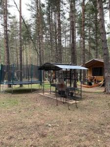 12 месяцев - 94