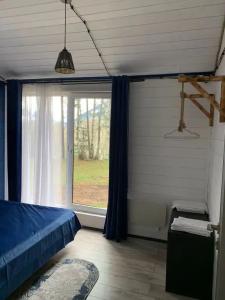 12 месяцев - 79