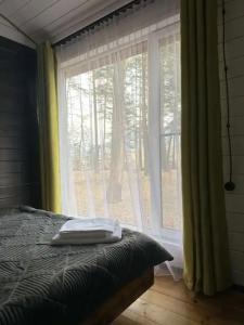 12 месяцев - 81