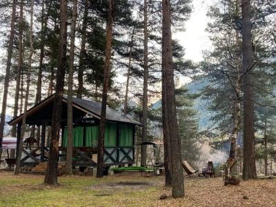 12 месяцев - 92