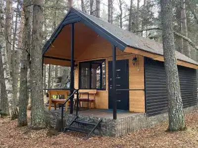 12 месяцев - 77