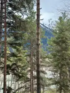 12 месяцев - 102