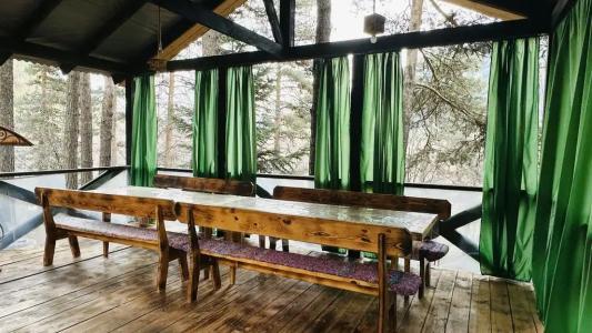 12 месяцев - 113