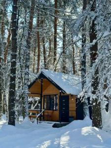 12 месяцев - 96