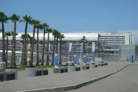 Колибри - 6