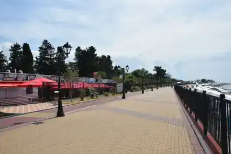 Колибри - 7