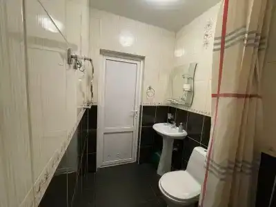 Колибри - 20