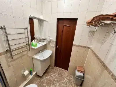 Викинг - 46