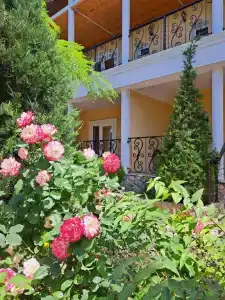 Соната - 2