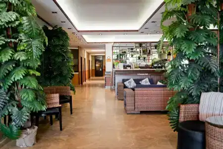La Terrassa - 1