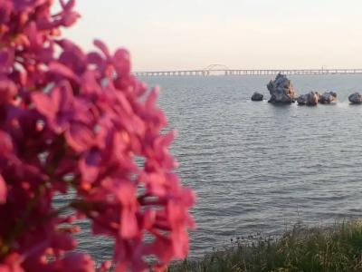 М 33 - 97