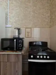 Горная жемчужина - 36