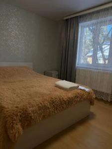 Горная жемчужина - 29