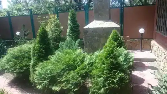 Парус - 3